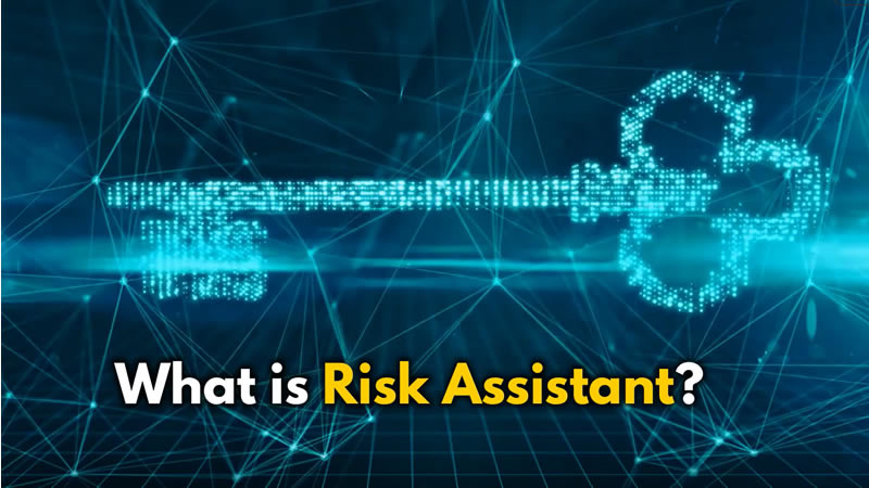 screenshot of Risk Assistant
